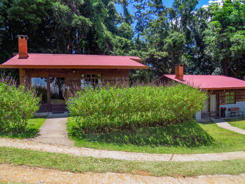 cab estand_Mesa de trabajo 1 copia 2