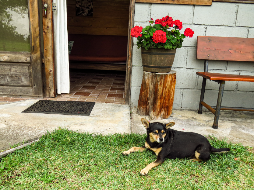 cab estand_Mesa de trabajo 1 copia 3