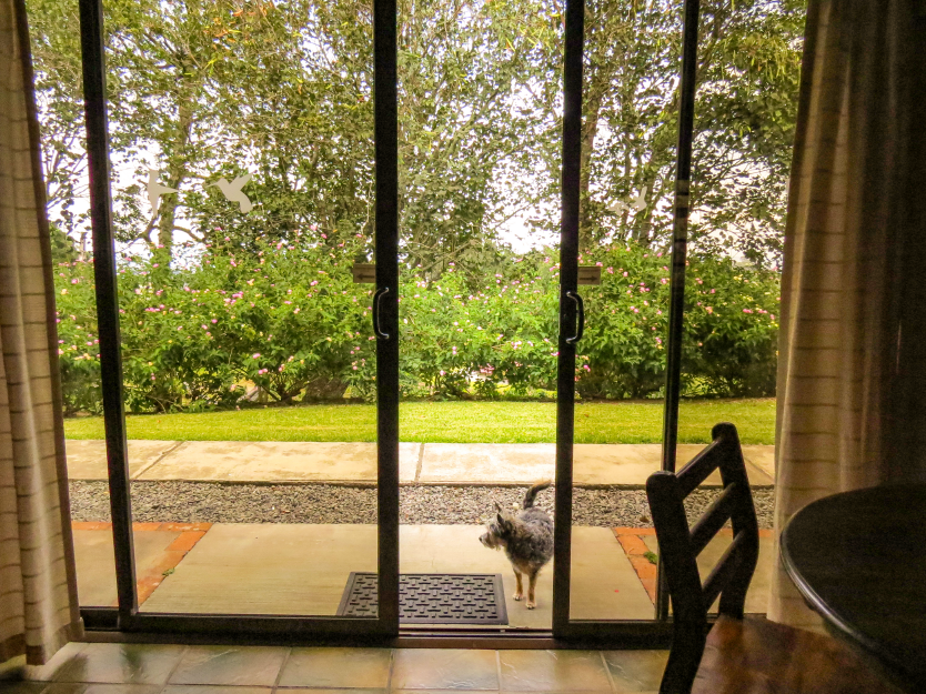 cab fam_Mesa de trabajo 1 copia 3